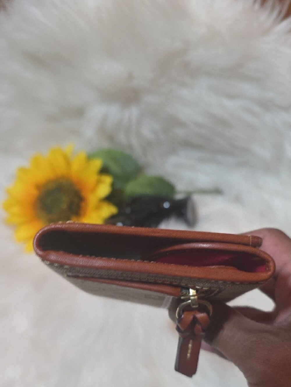 Dooney & Bourke Beige and Brown Signature Continental Wallet - Picture 11 of 13